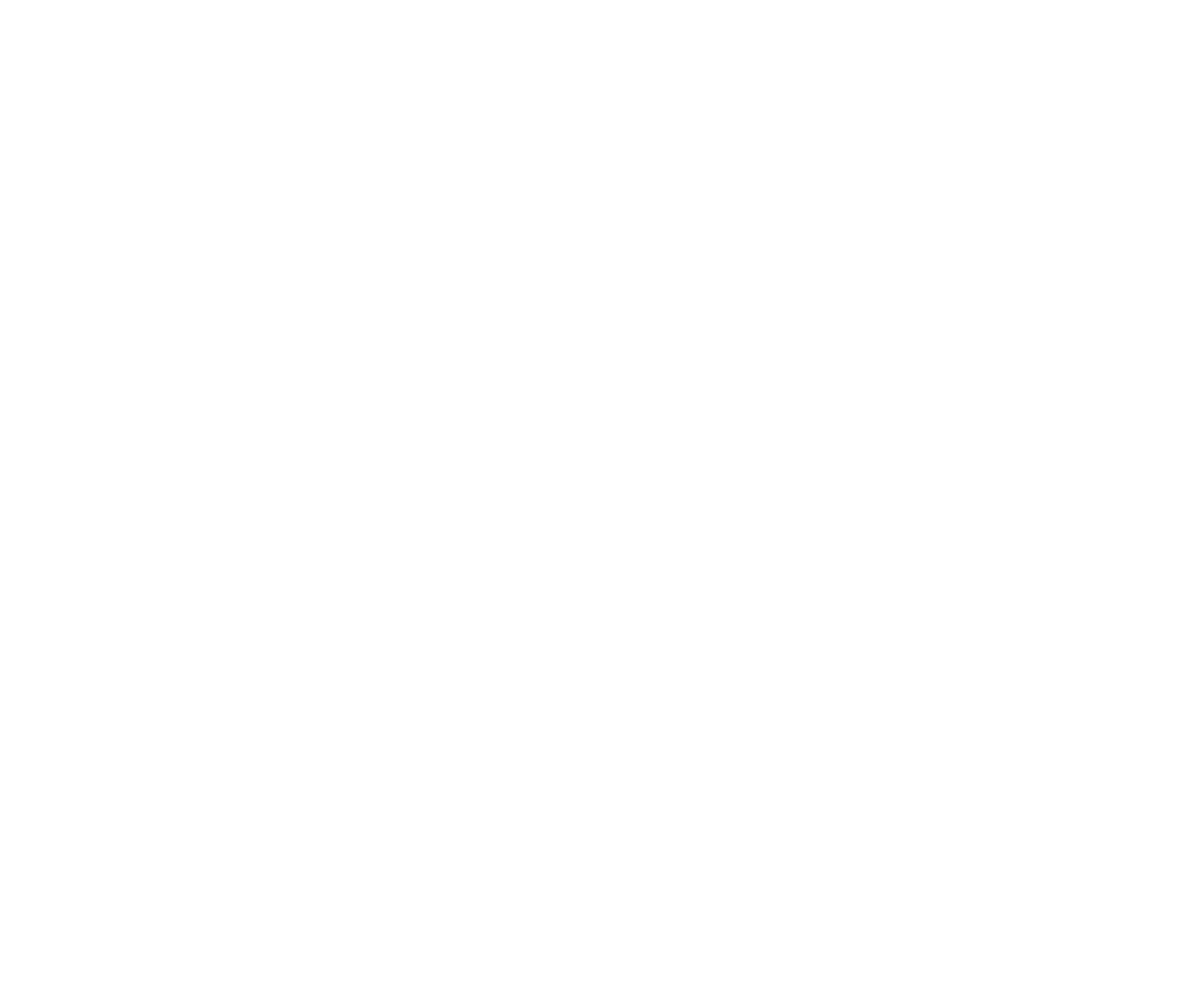 NAPA logo