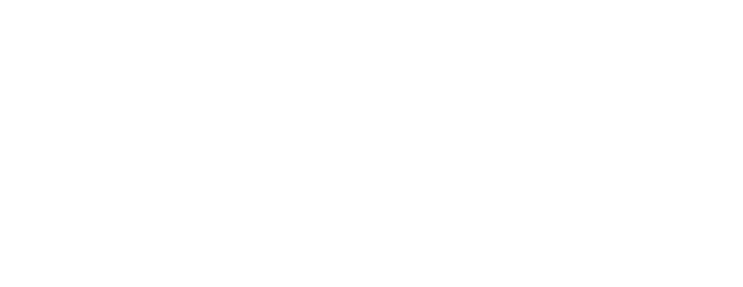 southerncarlson-White@2x